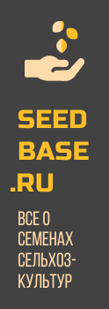 SEED BASE LOGO